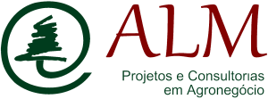 ALM Projetos